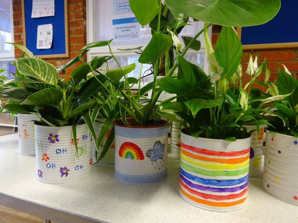 Plants boost pupils' wellbeing - Oxford House School